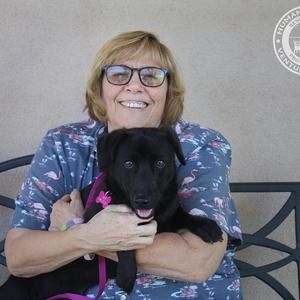 Meet your Posher, Vicki